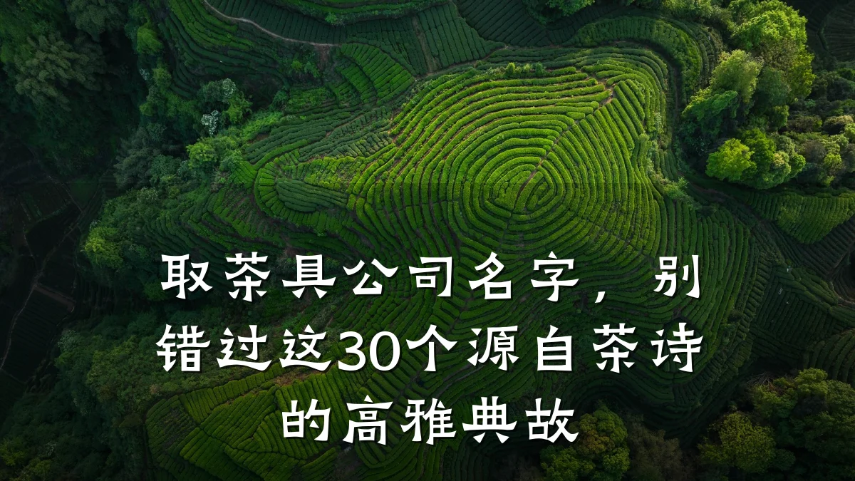 取茶具公司名字，别错过这30个源自茶诗的高雅典故