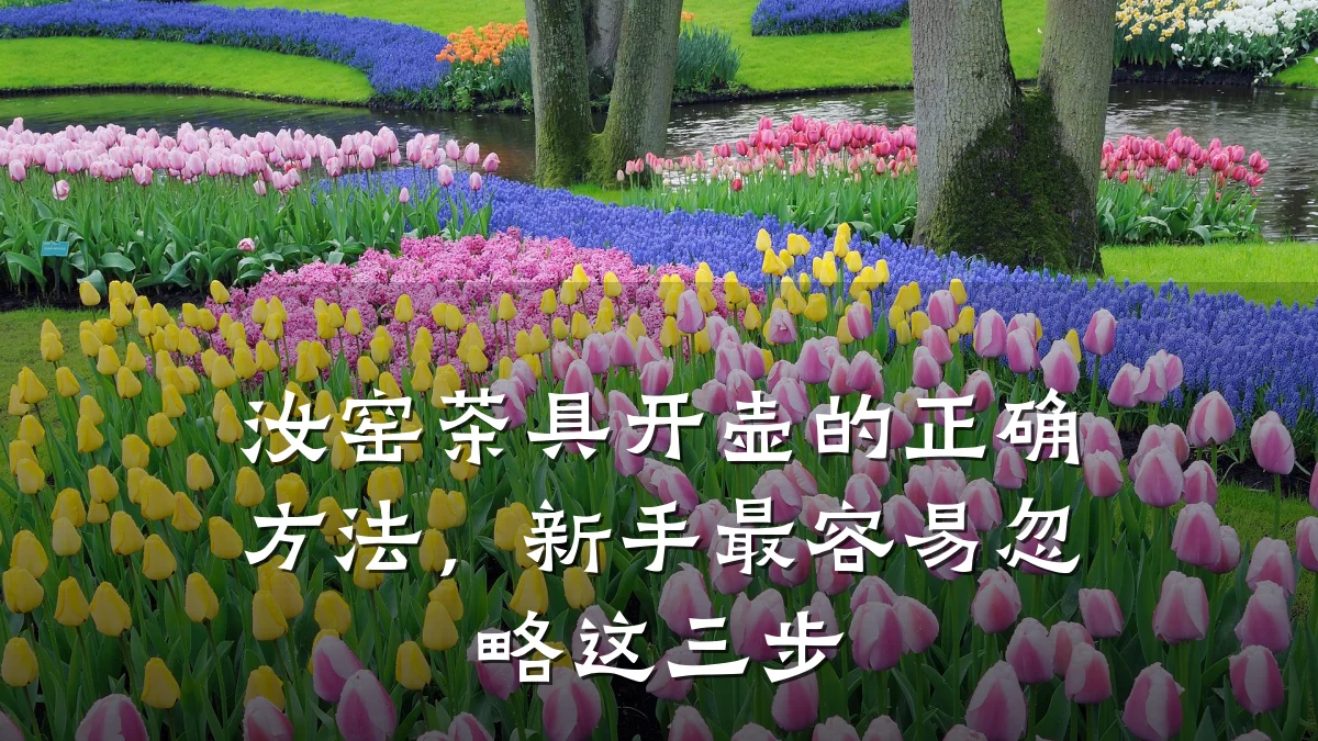 汝窑茶具开壶的正确方法，新手最容易忽略这三步