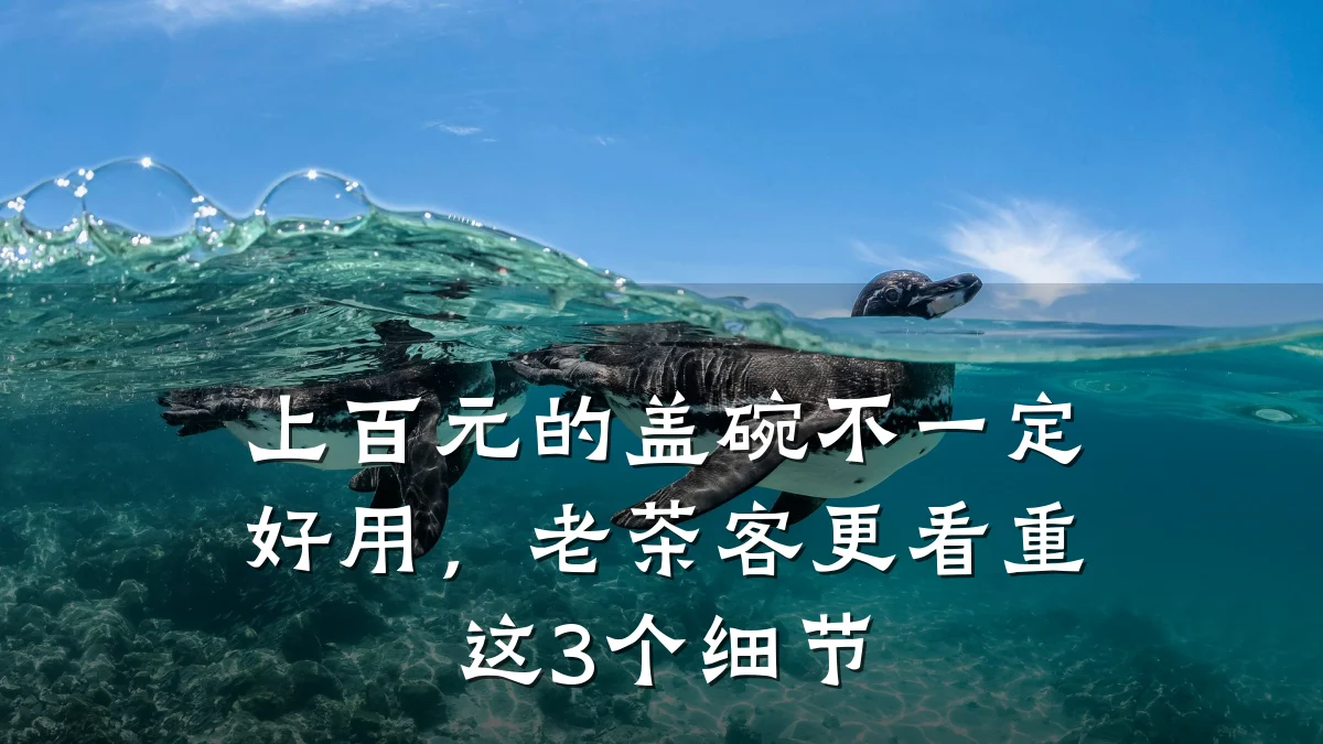 上百元的盖碗不一定好用，老茶客更看重这3个细节