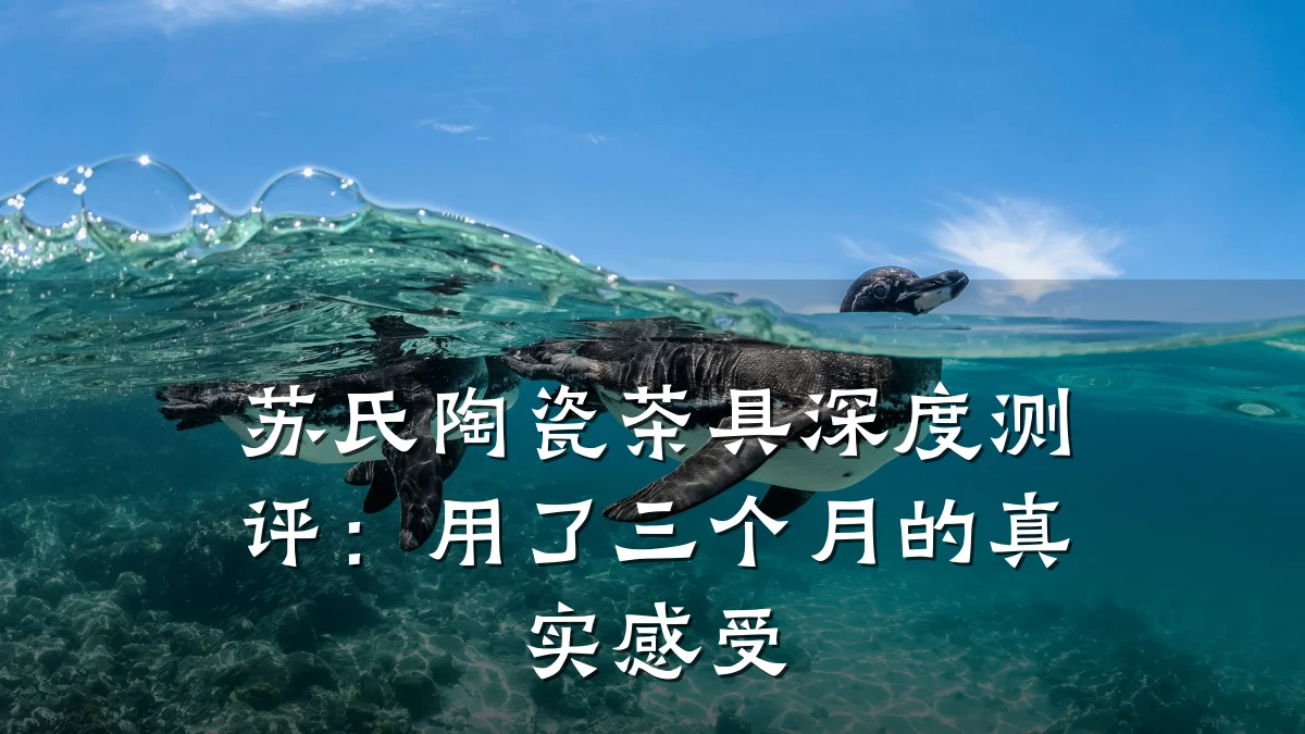 苏氏陶瓷茶具深度测评：用了三个月的真实感受