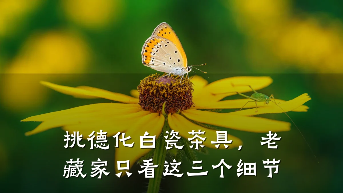 挑德化白瓷茶具，老藏家只看这三个细节