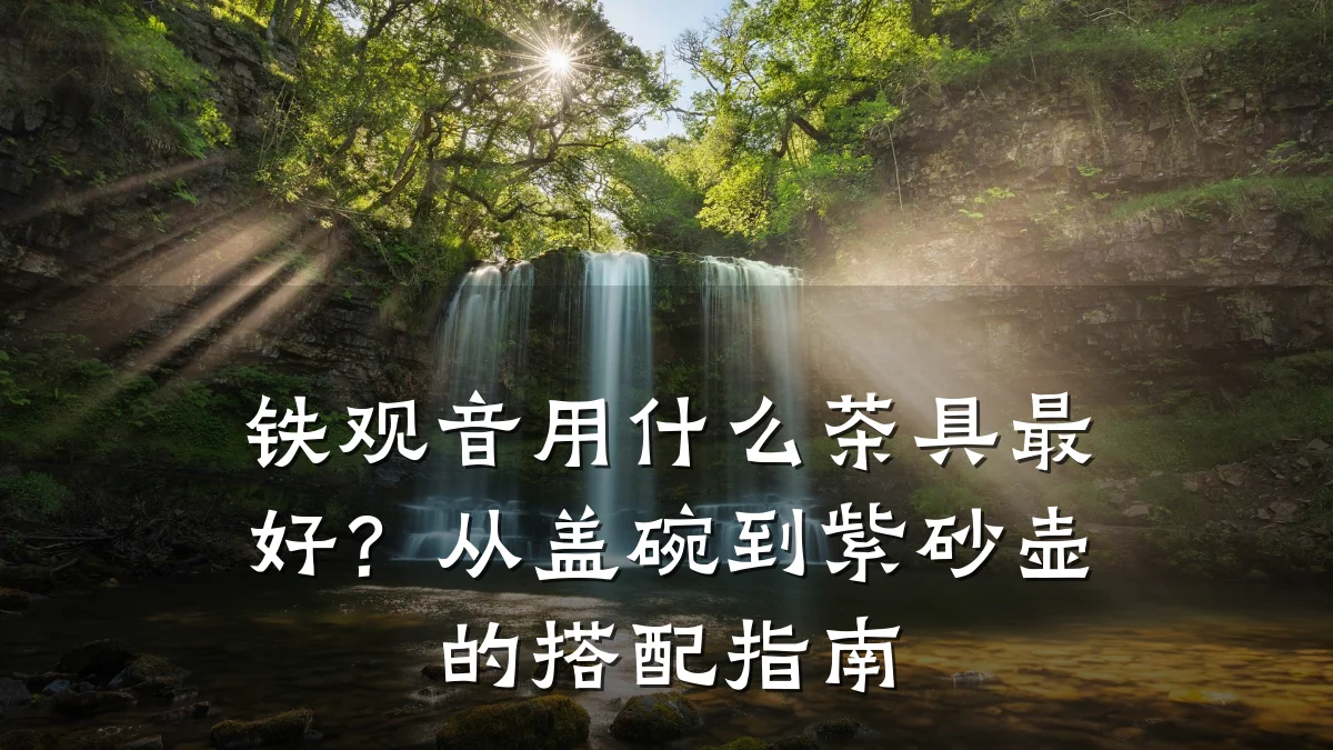 铁观音用什么茶具最好？从盖碗到紫砂壶的搭配指南