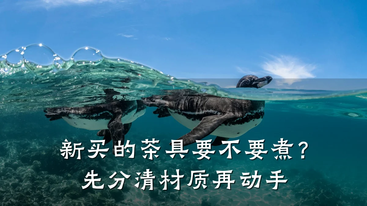 新买的茶具要不要煮？先分清材质再动手