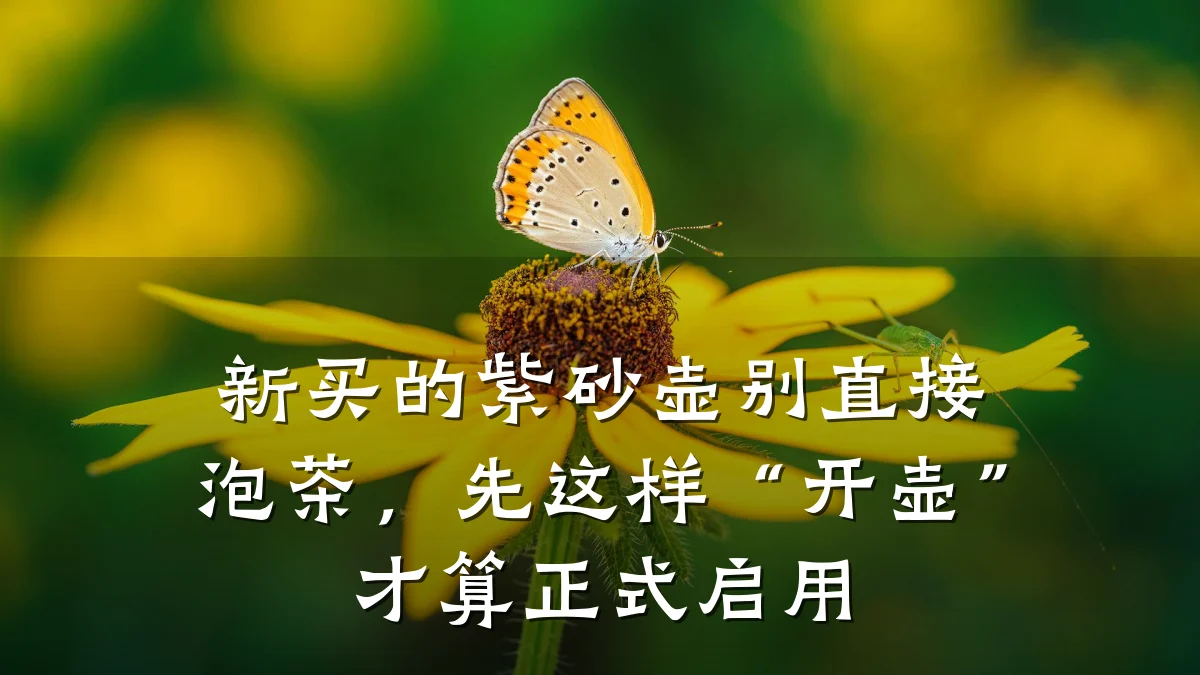 新买的紫砂壶别直接泡茶，先这样“开壶”才算正式启用