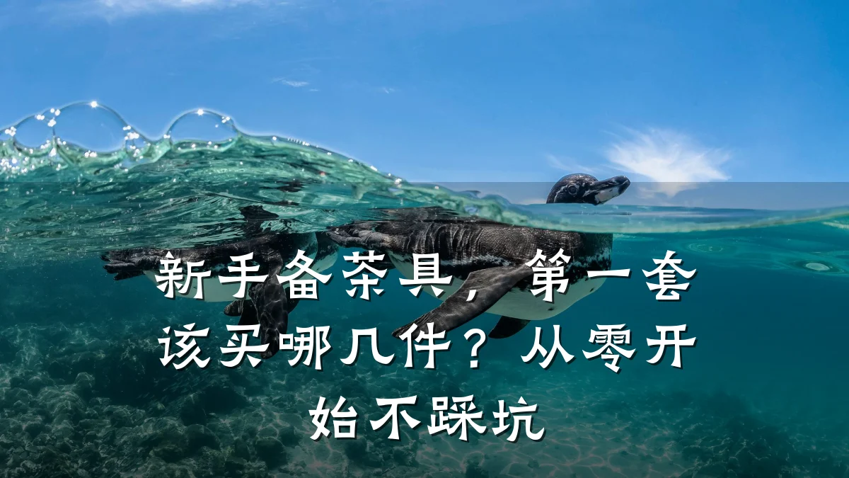 新手备茶具，第一套该买哪几件？从零开始不踩坑