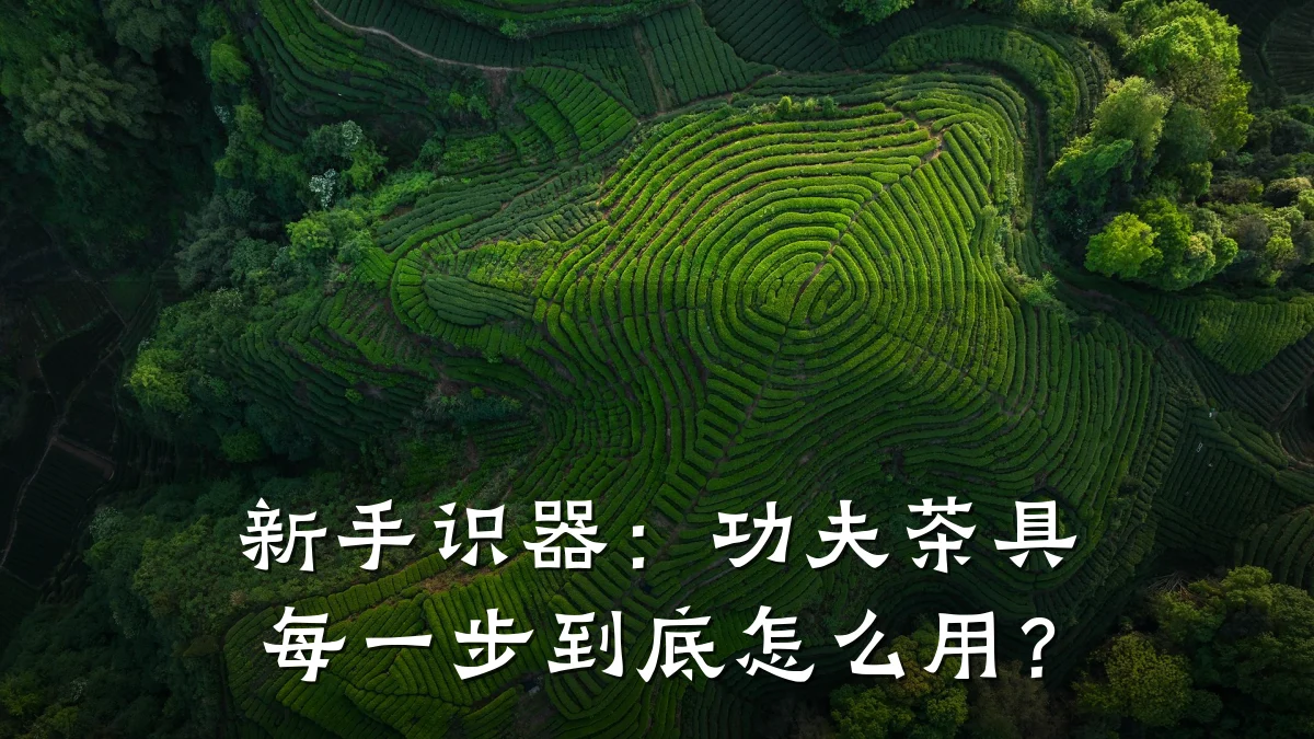 新手识器：功夫茶具每一步到底怎么用？