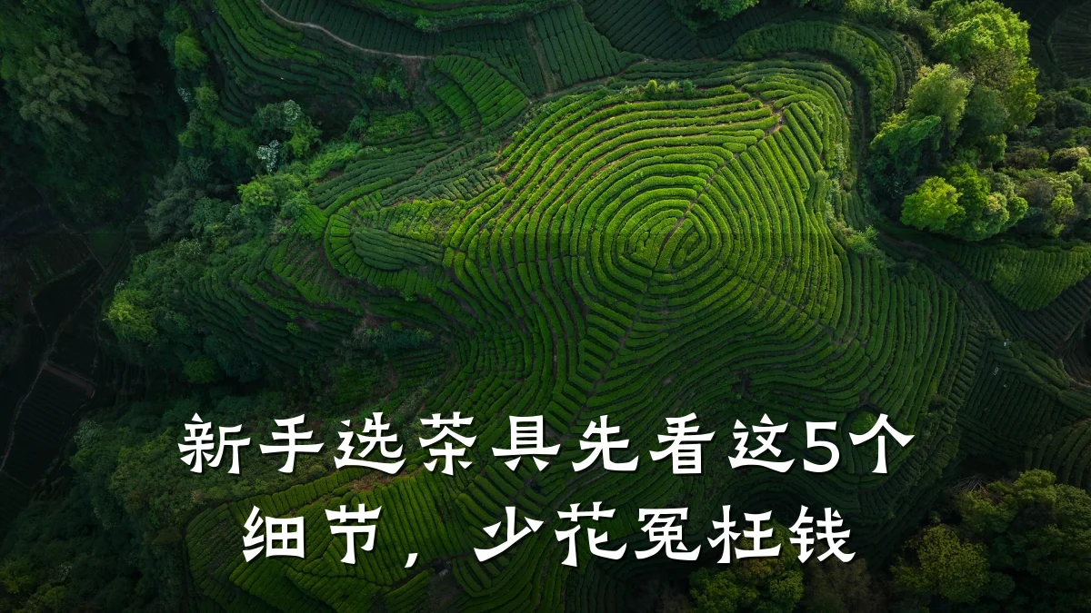 新手选茶具先看这5个细节，少花冤枉钱