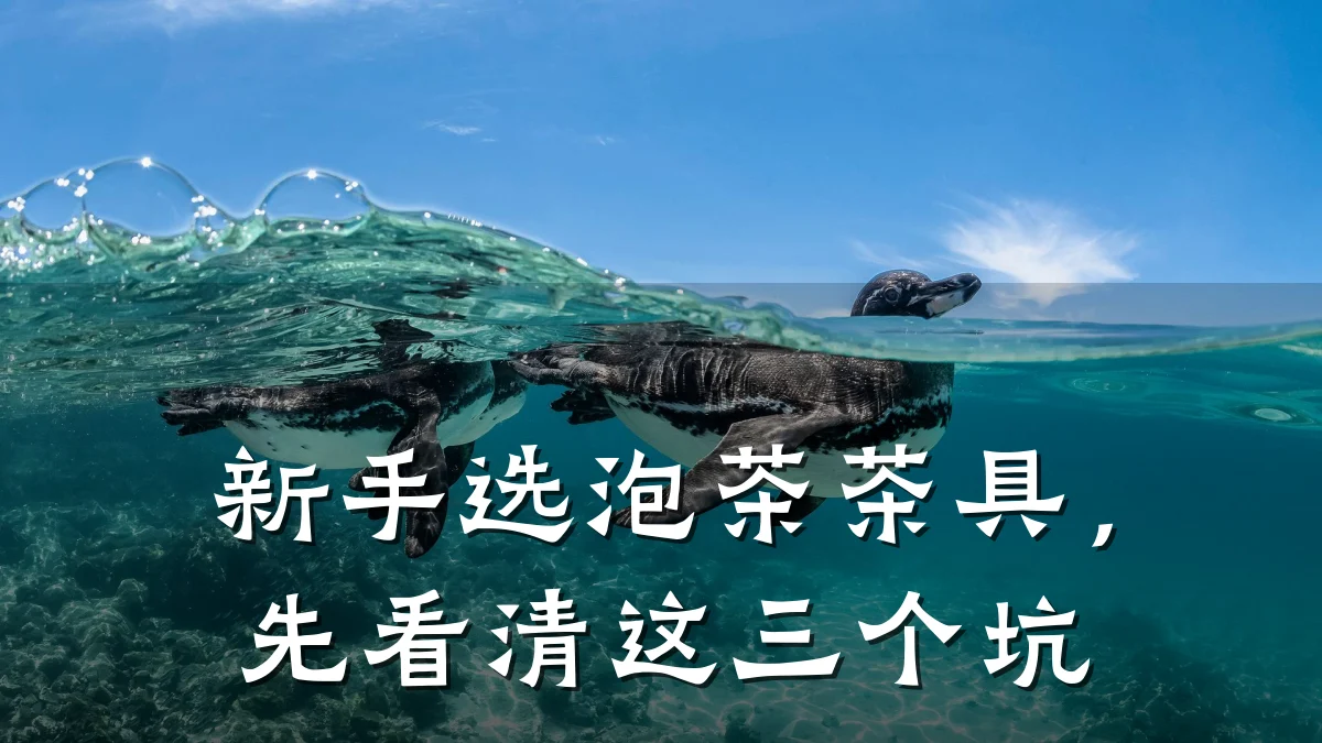 新手选泡茶茶具，先看清这三个坑