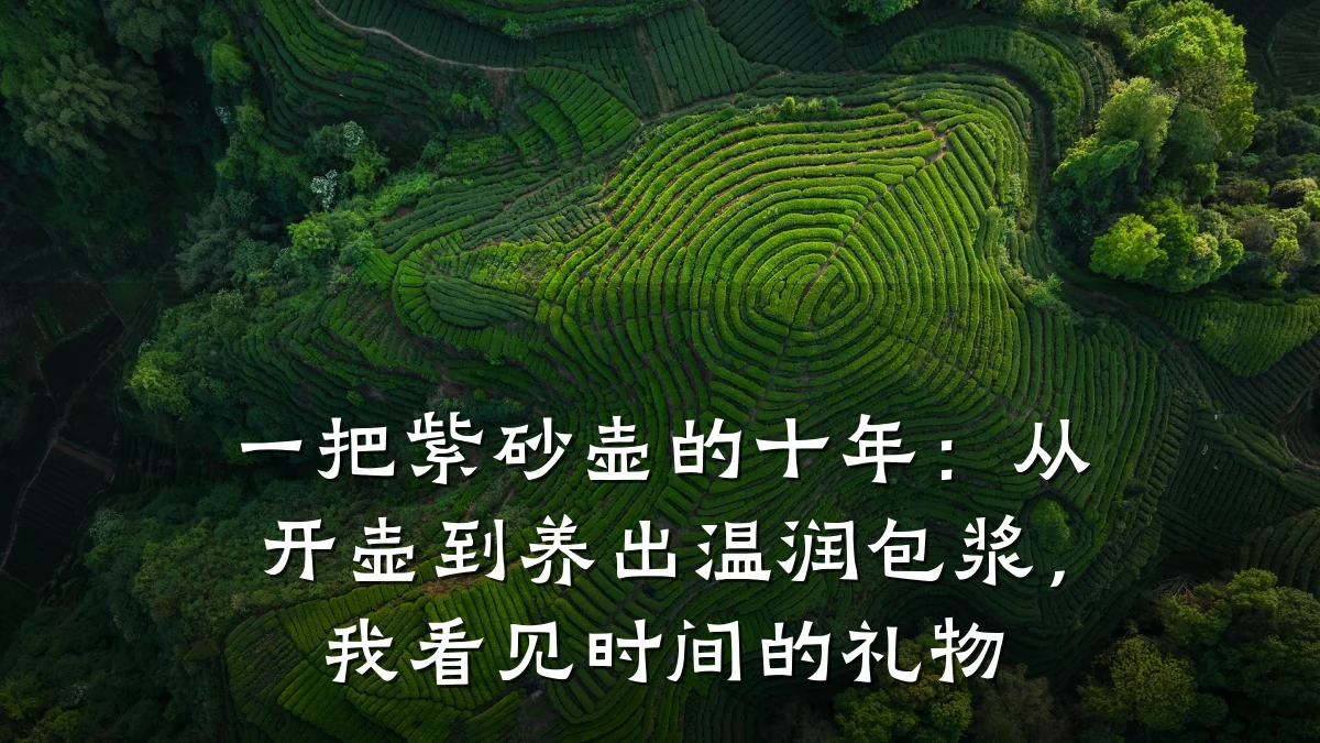 一把紫砂壶的十年：从开壶到养出温润包浆，我看见时间的礼物