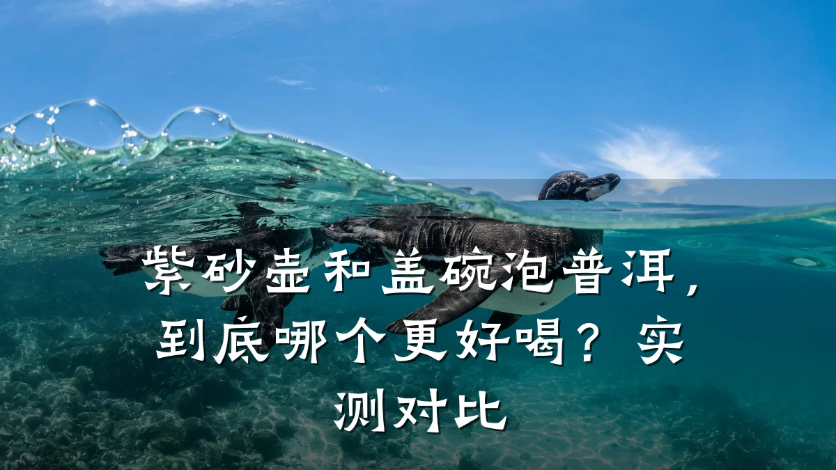 紫砂壶和盖碗泡普洱，到底哪个更好喝？实测对比