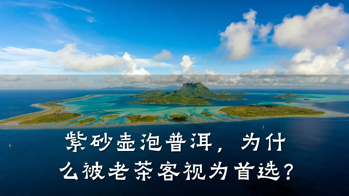 紫砂壶泡普洱，为什么被老茶客视为首选？