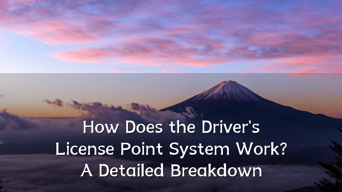 How Does the Driver's License Point System Work? A Detailed Breakdown