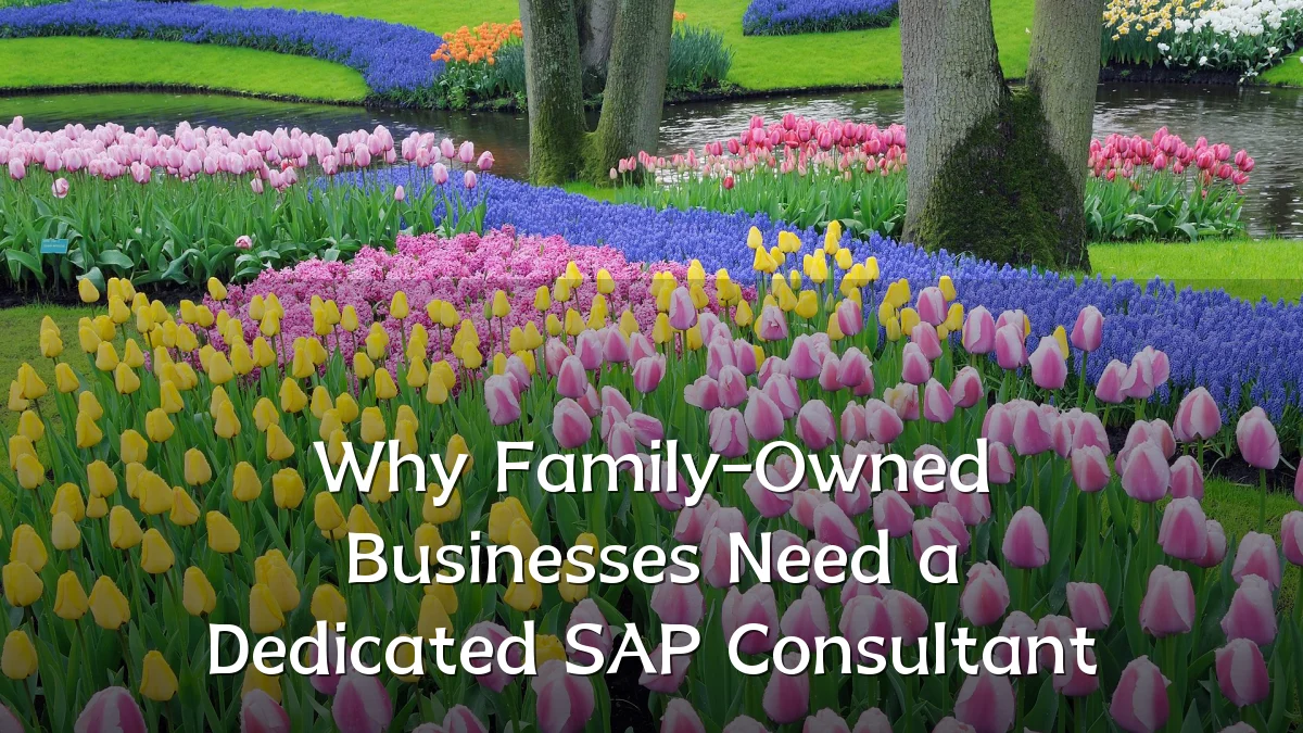 Why Family-Owned Businesses Need a Dedicated SAP Consultant