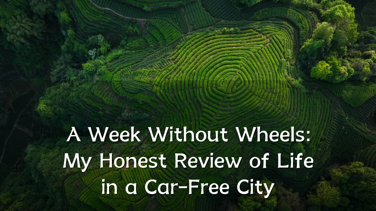A Week Without Wheels: My Honest Review of Life in a Car-Free City
