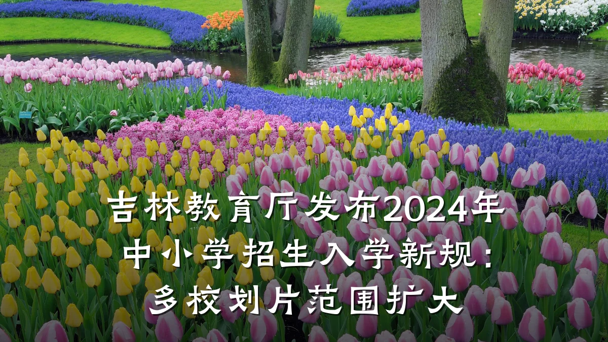 吉林教育厅发布2024年中小学招生入学新规：多校划片范围扩大