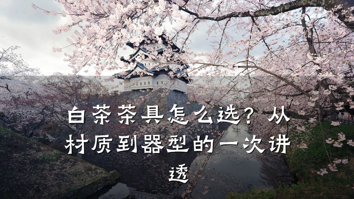 白茶茶具怎么选?从材质到器型的一次讲透