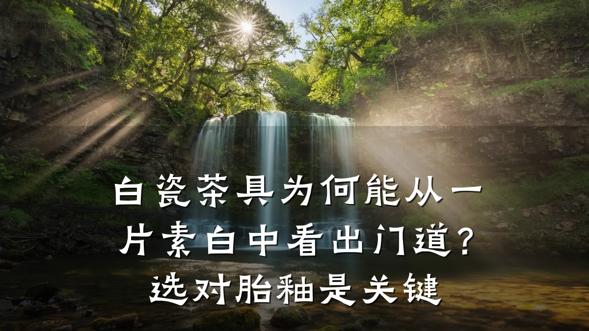 白瓷茶具为何能从一片素白中看出门道?选对胎釉是关键