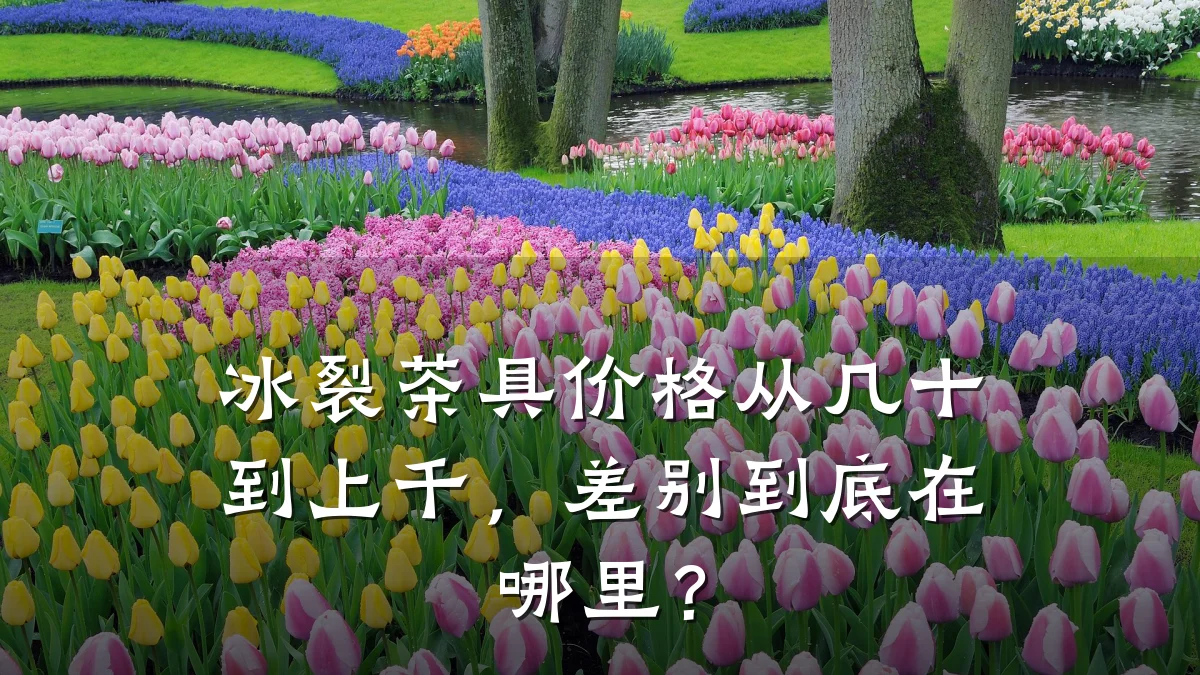 冰裂茶具价格从几十到上千,差别到底在哪里?
