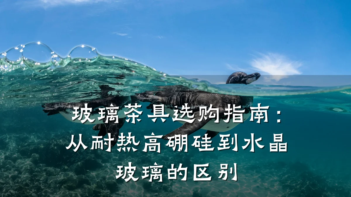 玻璃茶具选购指南：从耐热高硼硅到水晶玻璃的区别