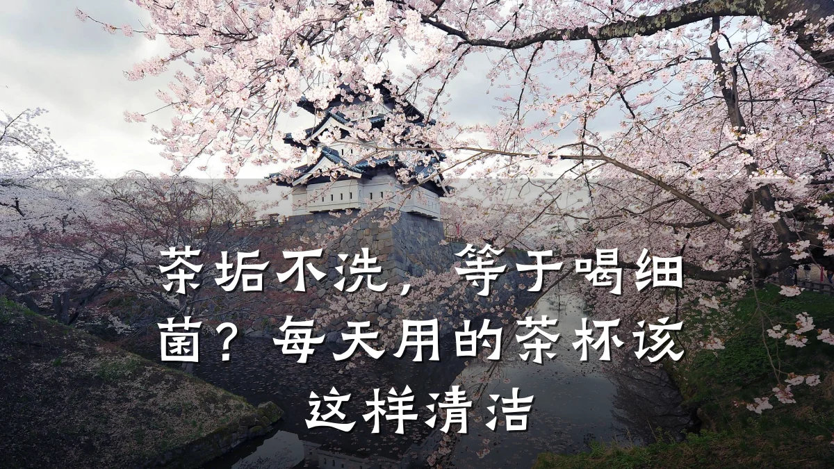 茶垢不洗,等于喝细菌?每天用的茶杯该这样清洁