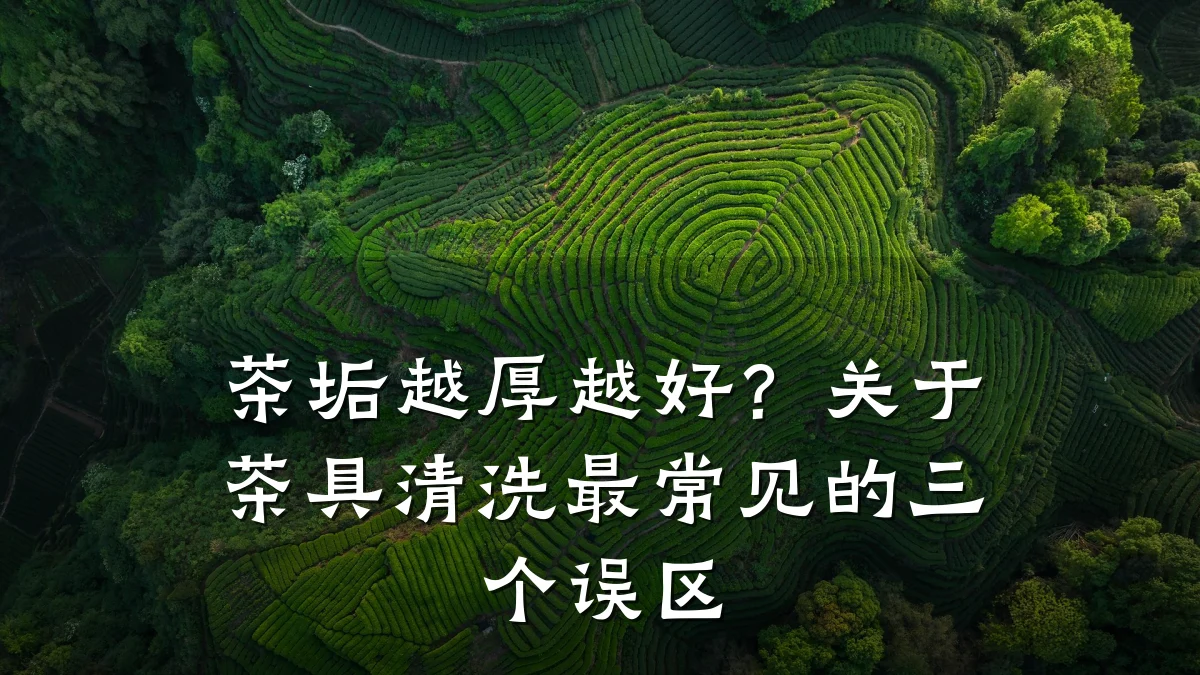 茶垢越厚越好？关于茶具清洗最常见的三个误区