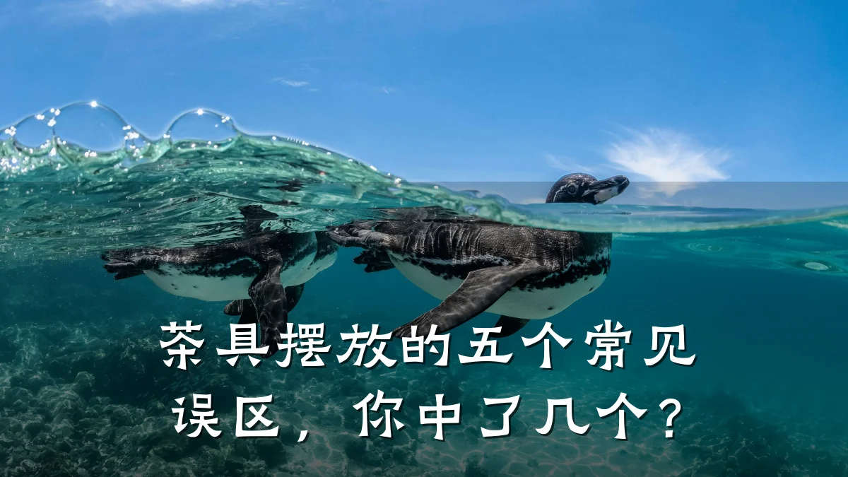 茶具摆放的五个常见误区,你中了几个?