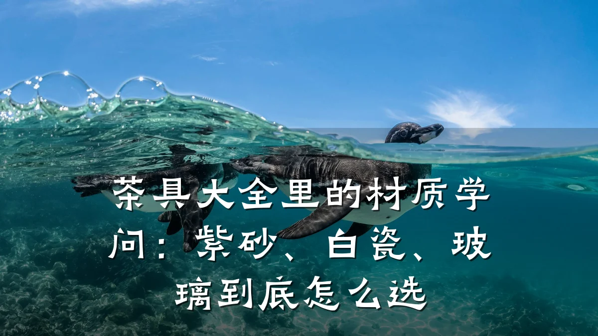 茶具大全里的材质学问:紫砂、白瓷、玻璃到底怎么选