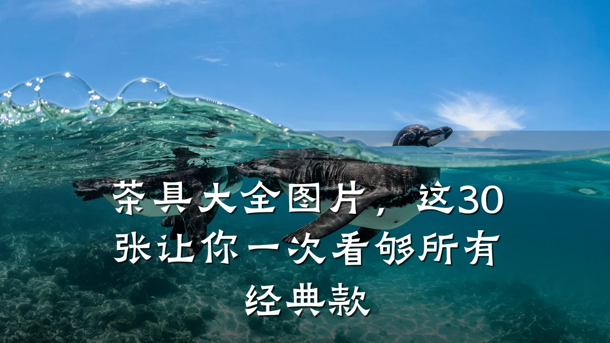 茶具大全图片,这30张让你一次看够所有经典款