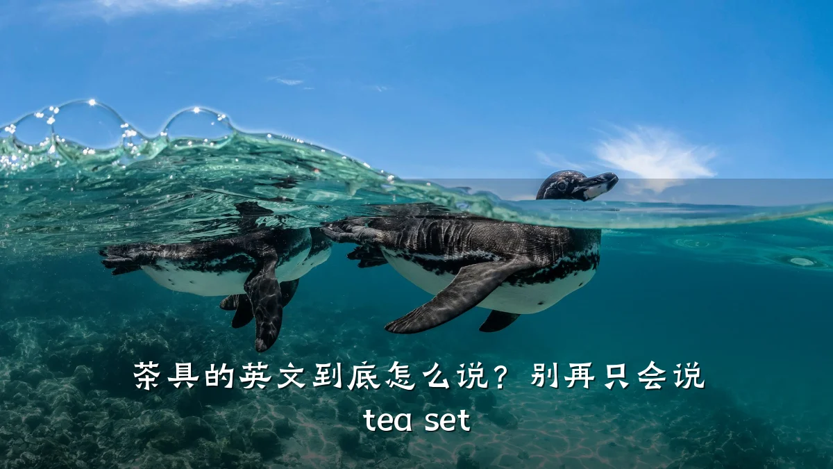 茶具的英文到底怎么说?别再只会说 tea set