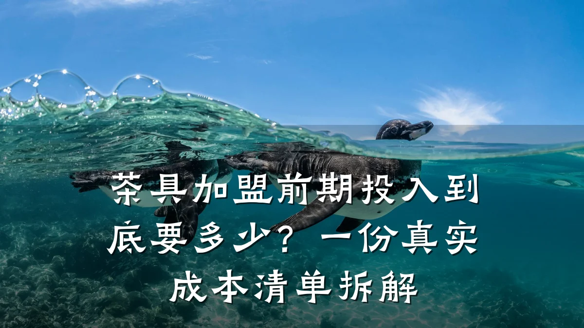 茶具加盟前期投入到底要多少?一份真实成本清单拆解