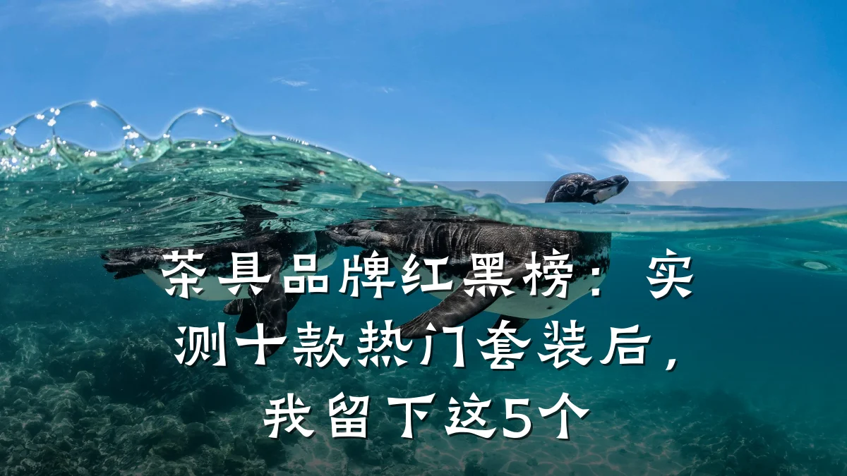 茶具品牌红黑榜:实测十款热门套装后,我留下这5个