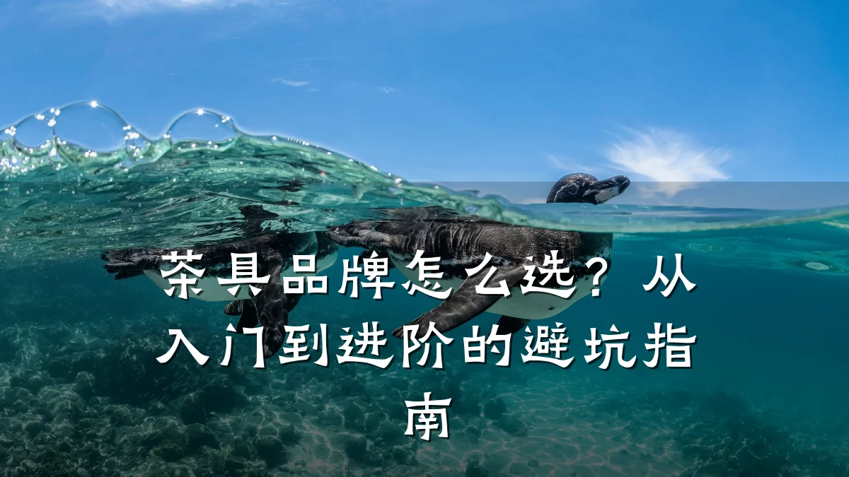 茶具品牌怎么选?从入门到进阶的避坑指南