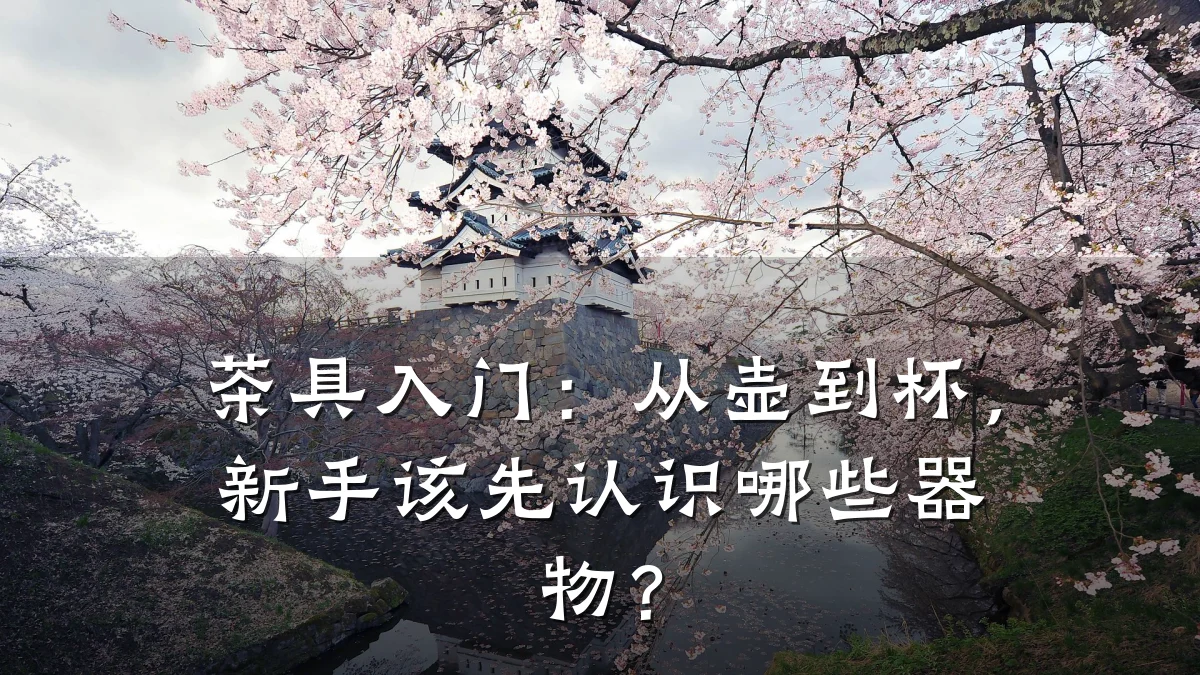 茶具入门：从壶到杯，新手该先认识哪些器物？