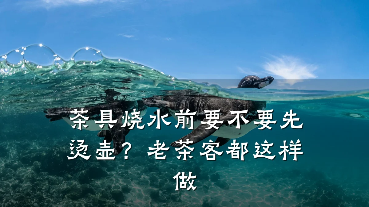 茶具烧水前要不要先烫壶?老茶客都这样做