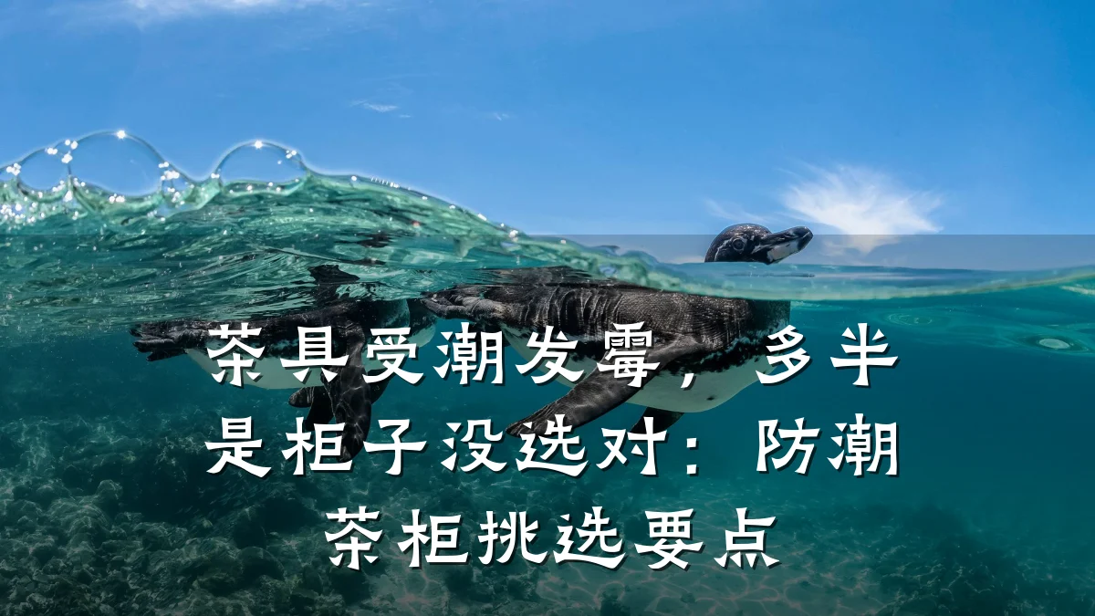 茶具受潮发霉,多半是柜子没选对:防潮茶柜挑选要点
