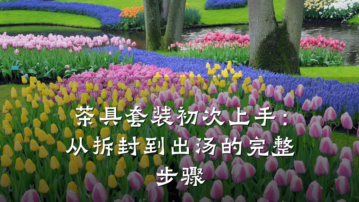 茶具套装初次上手：从拆封到出汤的完整步骤
