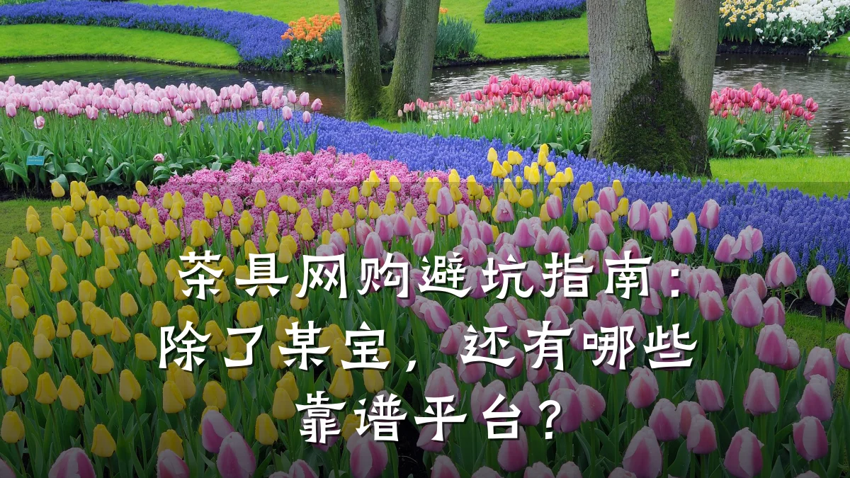 茶具网购避坑指南:除了某宝,还有哪些靠谱平台?