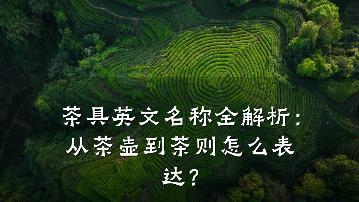 茶具英文名称全解析:从茶壶到茶则怎么表达?