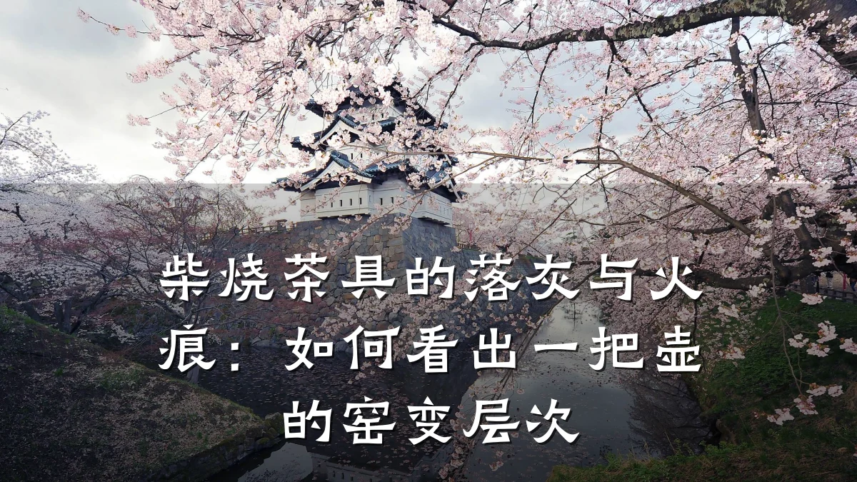 柴烧茶具的落灰与火痕:如何看出一把壶的窑变层次