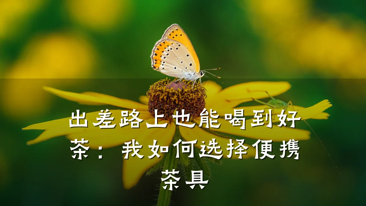 出差路上也能喝到好茶:我如何选择便携茶具