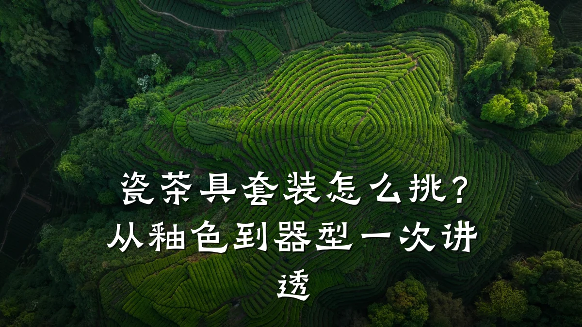 瓷茶具套装怎么挑?从釉色到器型一次讲透
