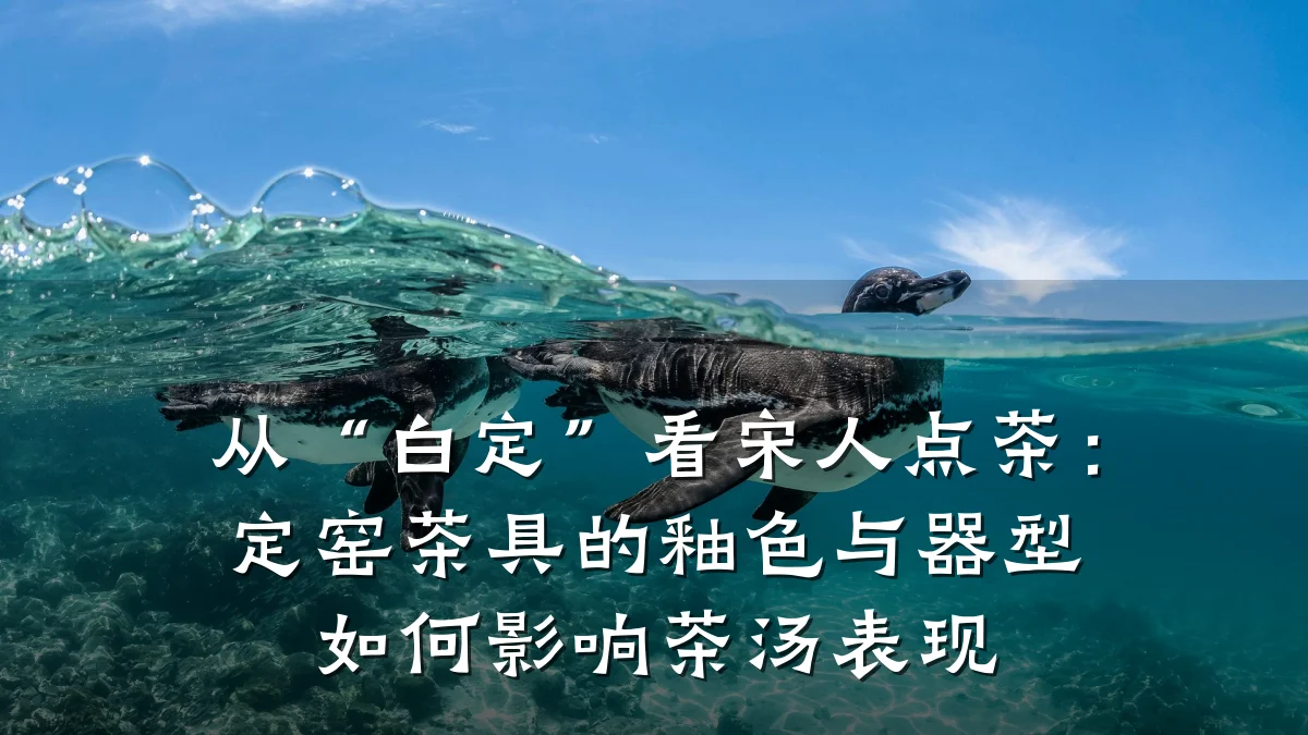 从“白定”看宋人点茶:定窑茶具的釉色与器型如何影响茶汤表现