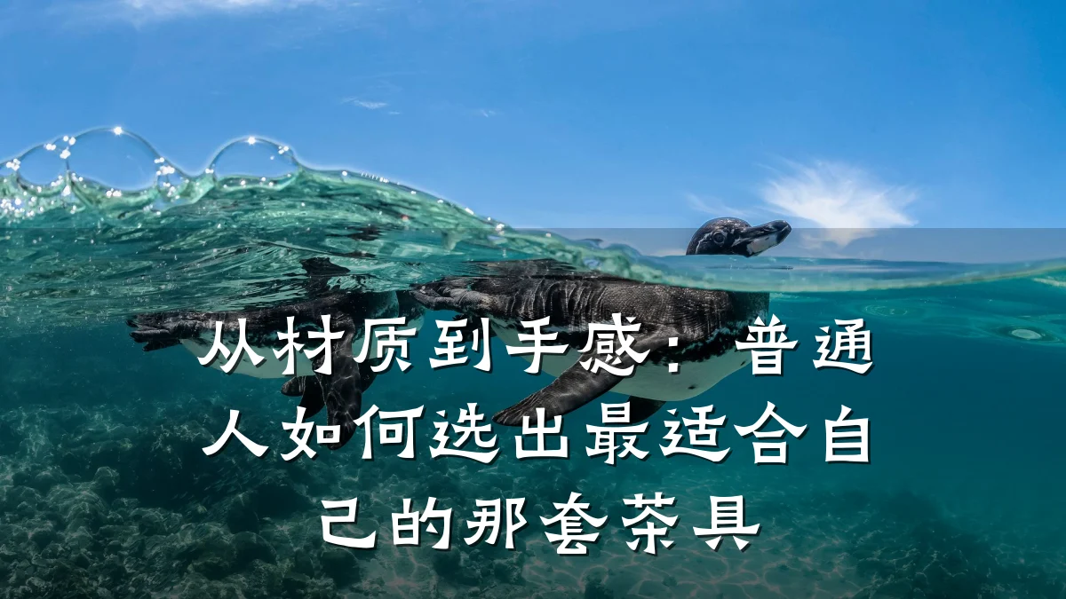从材质到手感：普通人如何选出最适合自己的那套茶具
