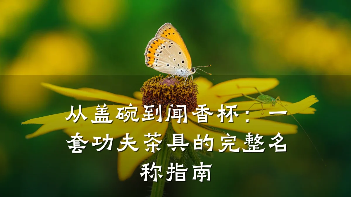 从盖碗到闻香杯:一套功夫茶具的完整名称指南