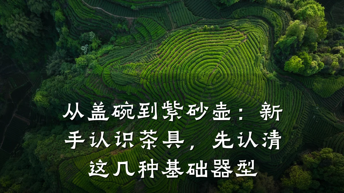 从盖碗到紫砂壶:新手认识茶具,先认清这几种基础器型