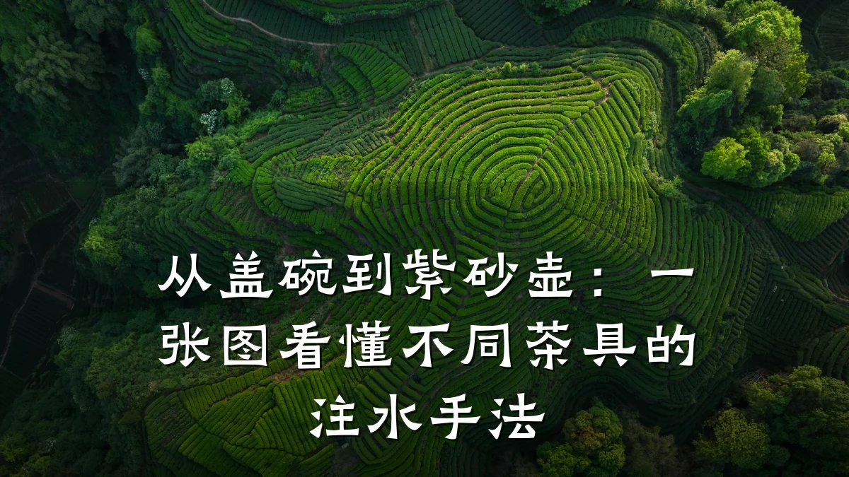 从盖碗到紫砂壶：一张图看懂不同茶具的注水手法