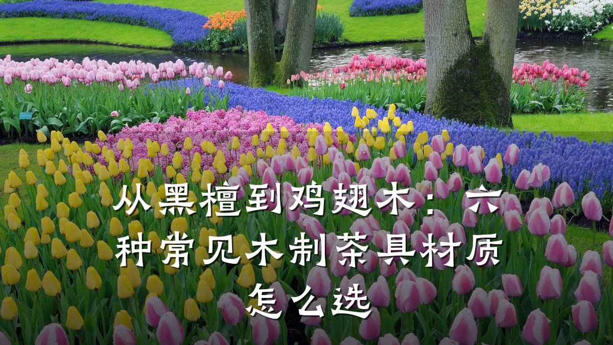 从黑檀到鸡翅木:六种常见木制茶具材质怎么选