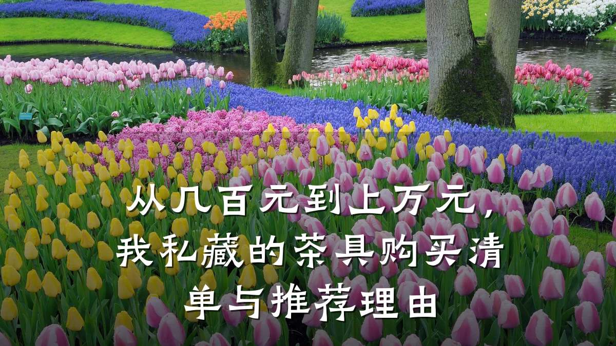 从几百元到上万元,我私藏的茶具购买清单与推荐理由