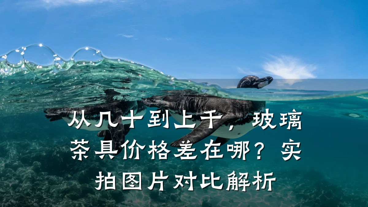 从几十到上千,玻璃茶具价格差在哪?实拍图片对比解析