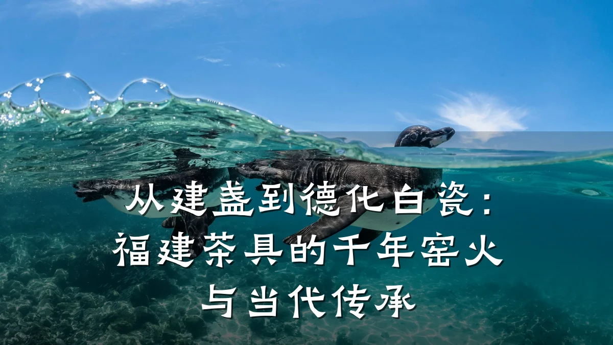 从建盏到德化白瓷:福建茶具的千年窑火与当代传承